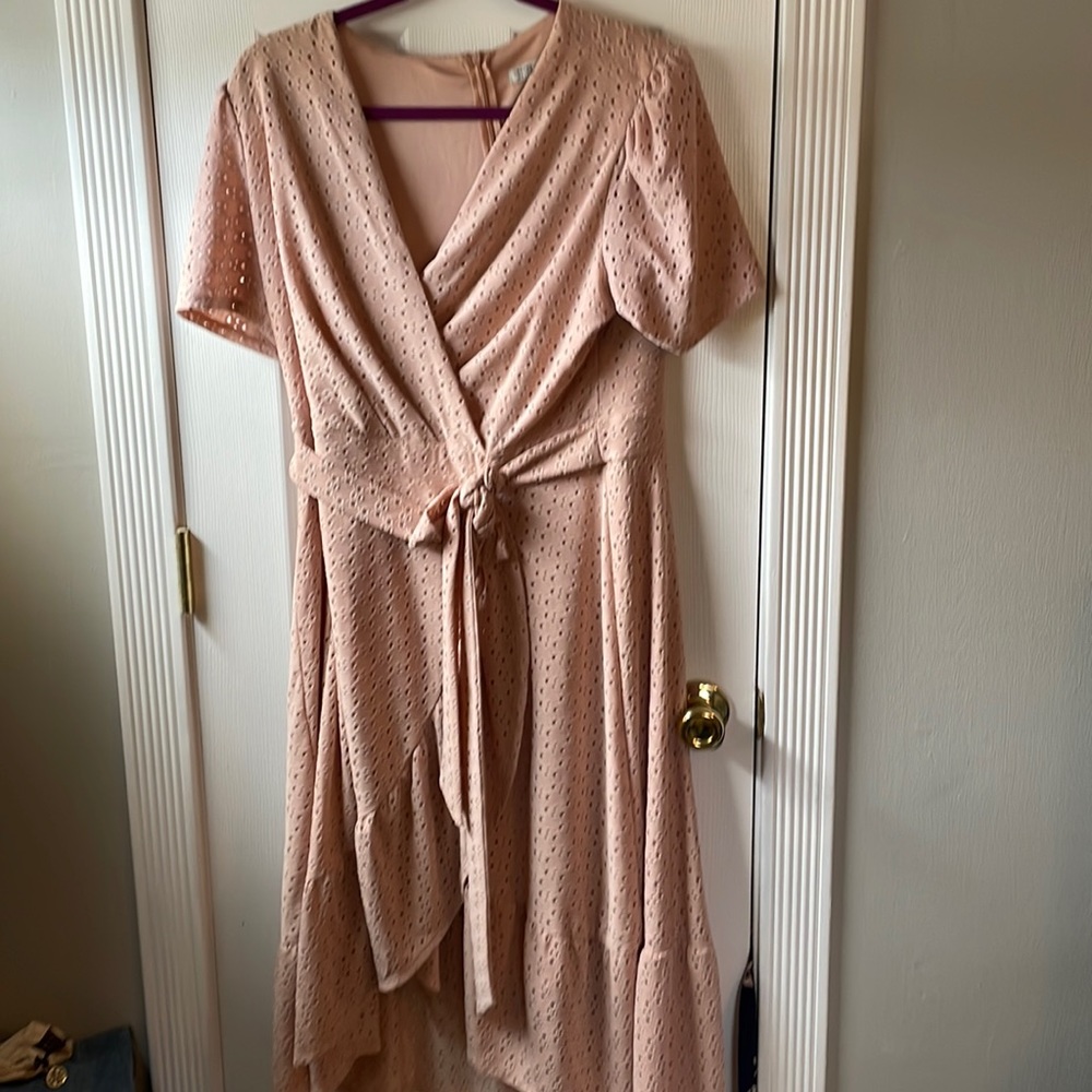 pink eyelet dress with lining. NWT